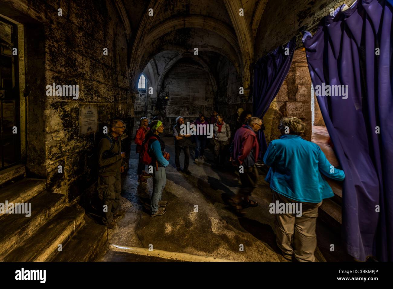 Group tour of the Château de Cognac followed by a tasting of Baron Otard cognac. Rampe du Château, Cognac, Nouvelle-Aquitaine, France Stock Photo