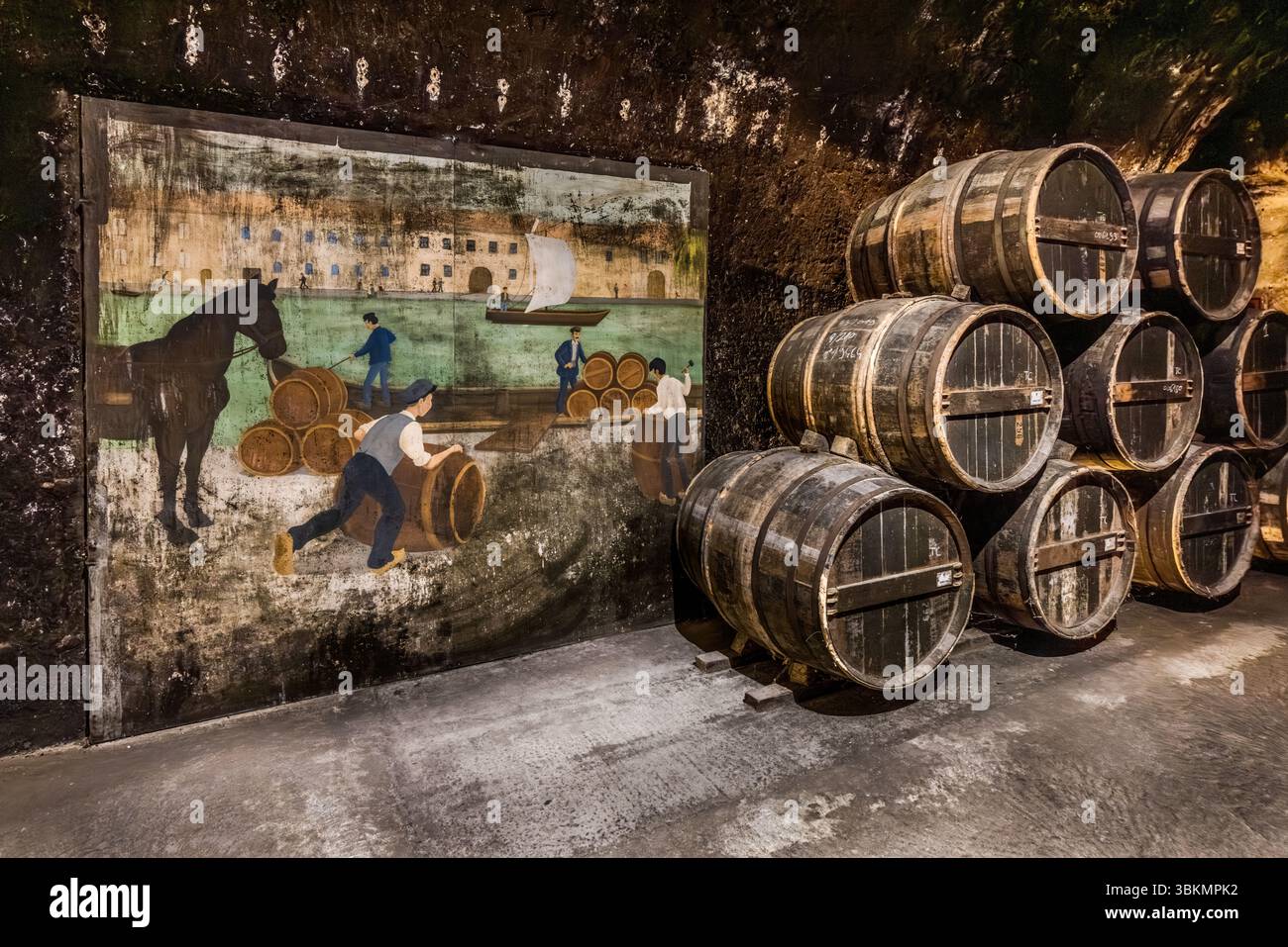 Old cognac barrels are stacked in the cellars of Cognac Castle (Château de Cognac), Rampe du Château, Cognac, Nouvelle-Aquitaine, France. Next to them, a mural depicts the cognac trade and transport across the Charente river. In the picture, workers roll barrels across a quay, a horse stands ready and a sailing boat lies at the riverbank (possibly a gabare, the traditional cargo boat of the Charente). The barrel heads bear chalk marks. The Charente is navigable from Angoulême to Rochefort and was once an important trade route towards the Atlantic. The cellars are one stop on the guided tour wi Stock Photo