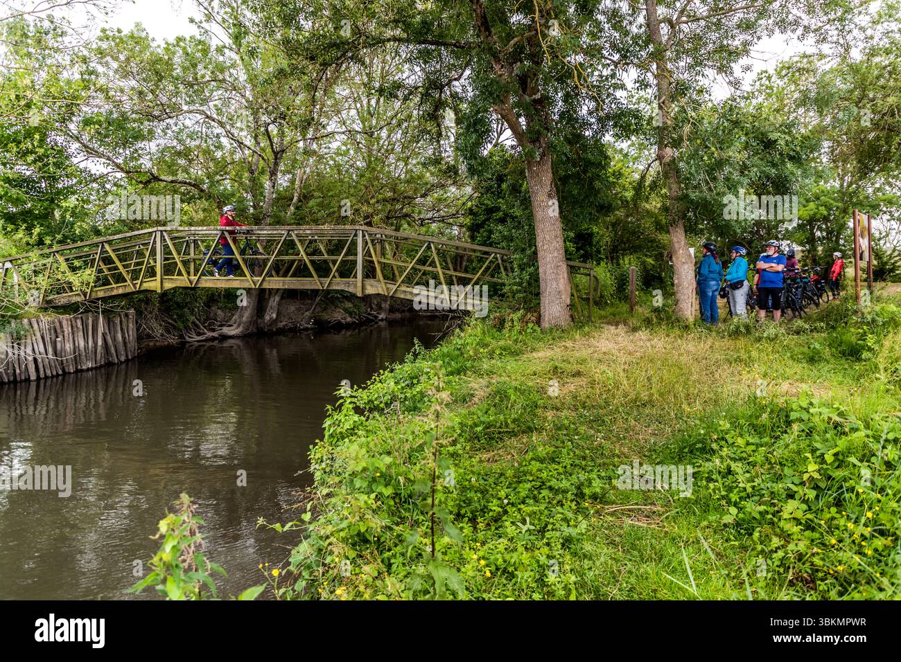 A narrow wooden bridge crosses the Charente at Les Gonds, Nouvelle-Aquitaine, France. Pedestrians and cyclists use the crossing. It is part of La Flow Vélo, a long-distance cycle route that runs for around 400 kilometres from Sarlat-la-Canéda in the Périgord to the Île d'Aix off the Atlantic coast. A person in a red jacket pushes a bicycle across the bridge. The rest of the group waits with helmets and e-bikes on the bank. The group is on a guided cycling tour by Die Landpartie along the Charente. Stock Photo