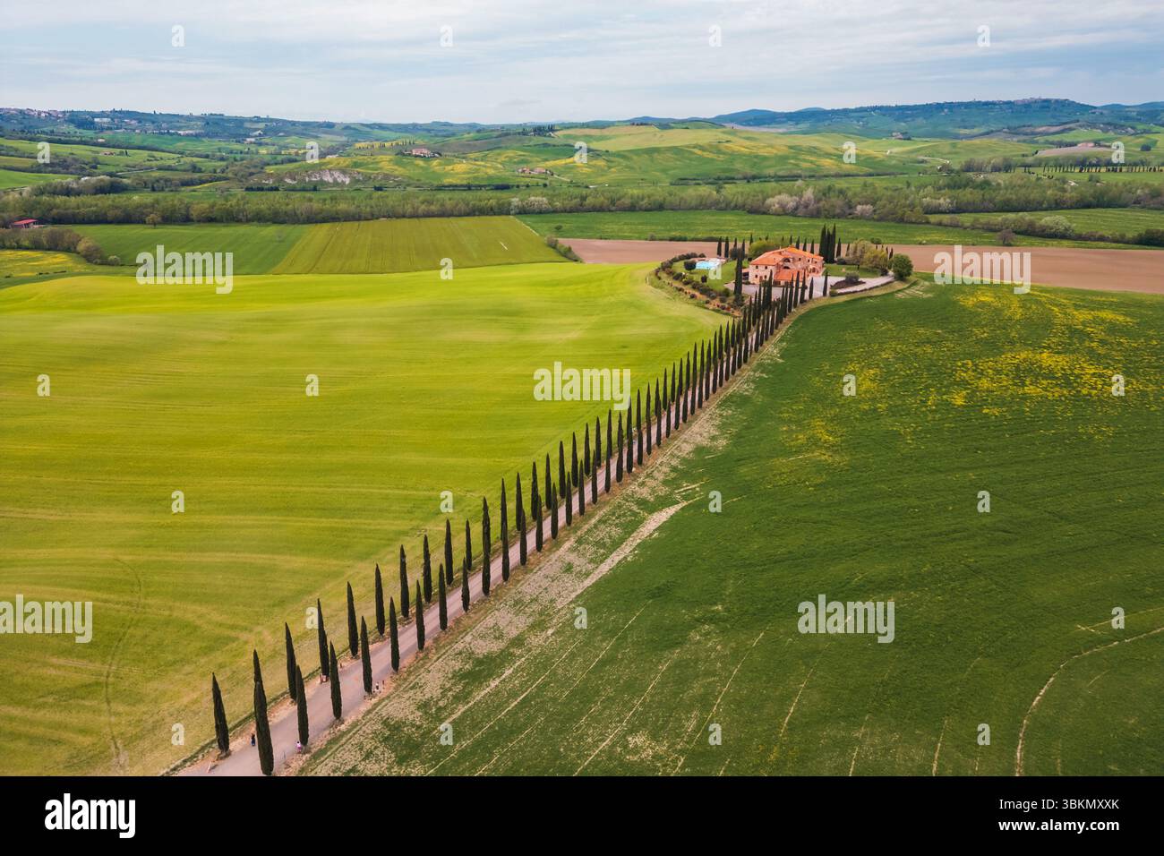 Tall italian cypress trees line hi-res stock photography and images - Alamy