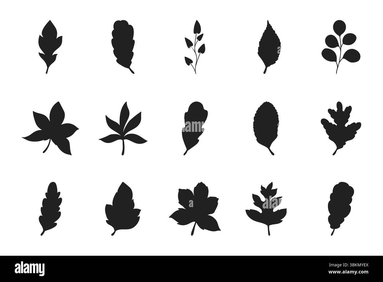 Set of hand drawn leaves silhouettes isolated on white background ...