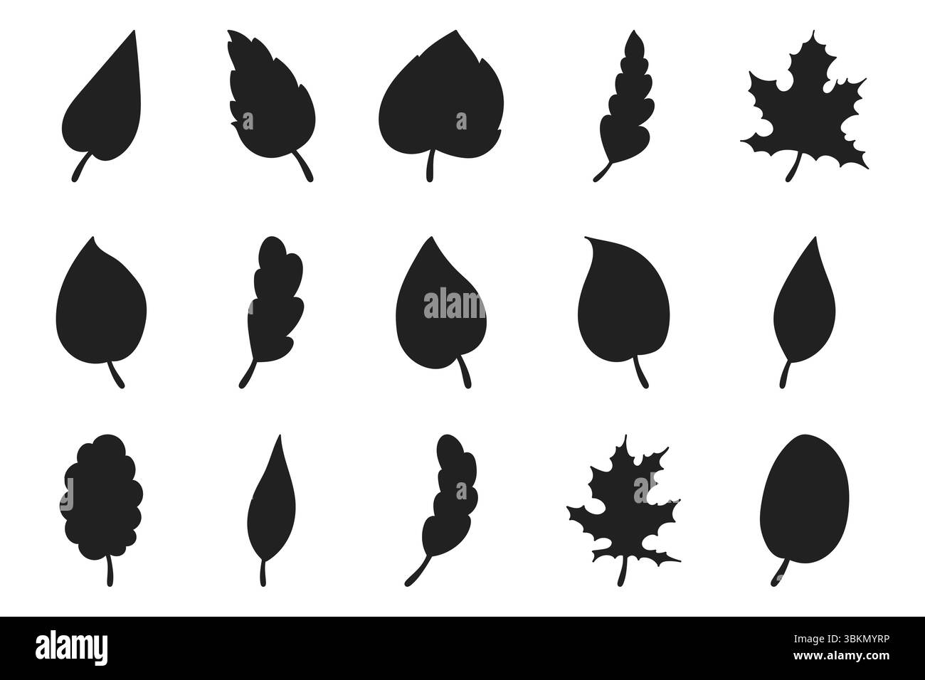 Set of hand drawn leaves silhouettes isolated on white background ...