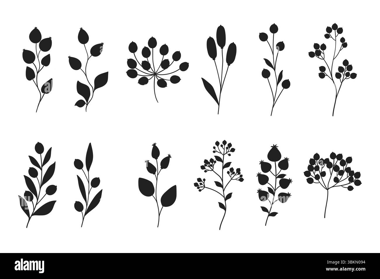 Set of hand drawn branches silhouettes isolated on white background ...