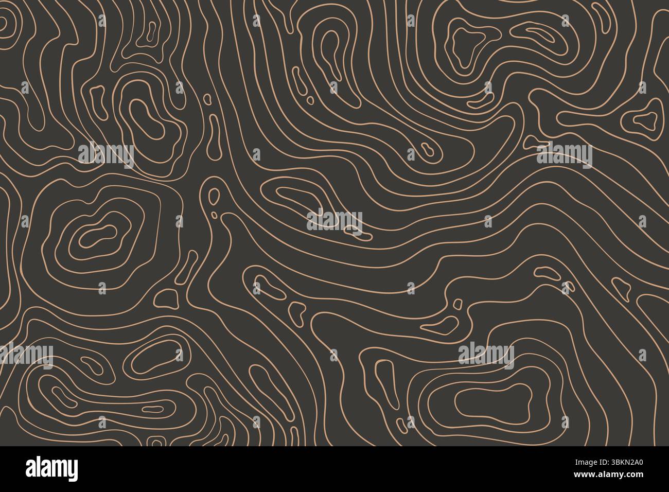 Topographic map with mountain relief, contur abstract wavy lines, top view land Stock Vector