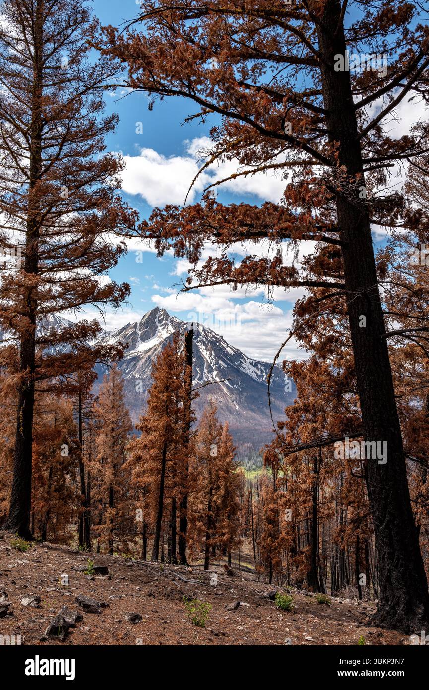 Burnt ridge hi-res stock photography and images - Alamy