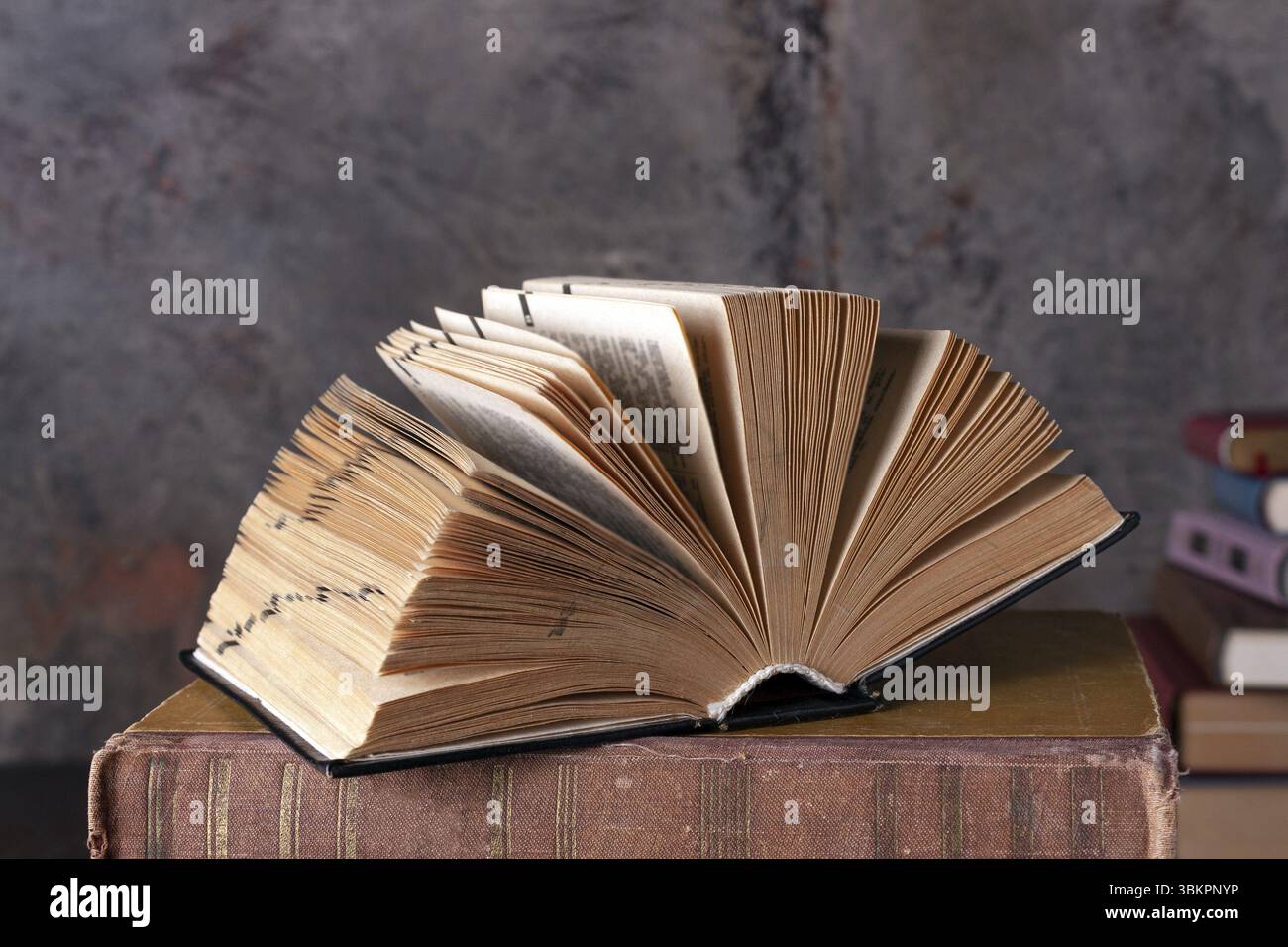 Open dictionary, hardcover, lying on books, close-up Stock Photo