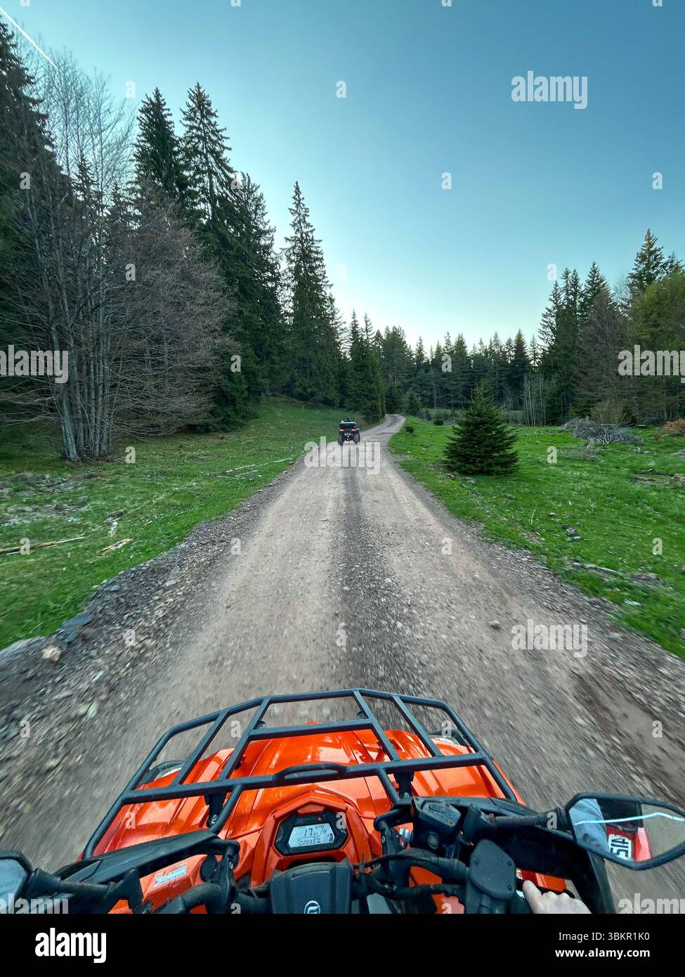 Riding an orange ATV on a dirt road through a scenic forest surrounded by evergreen trees. Outdoor off-road adventure in nature during daylight. - Smartphone Captured Stock Image