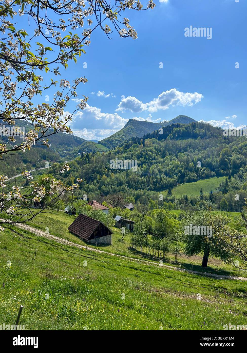 Peaceful rural landscape with small houses, green meadows, and blossoming trees, framed by majestic mountains under a clear blue sky. - Smartphone Captured Stock Image