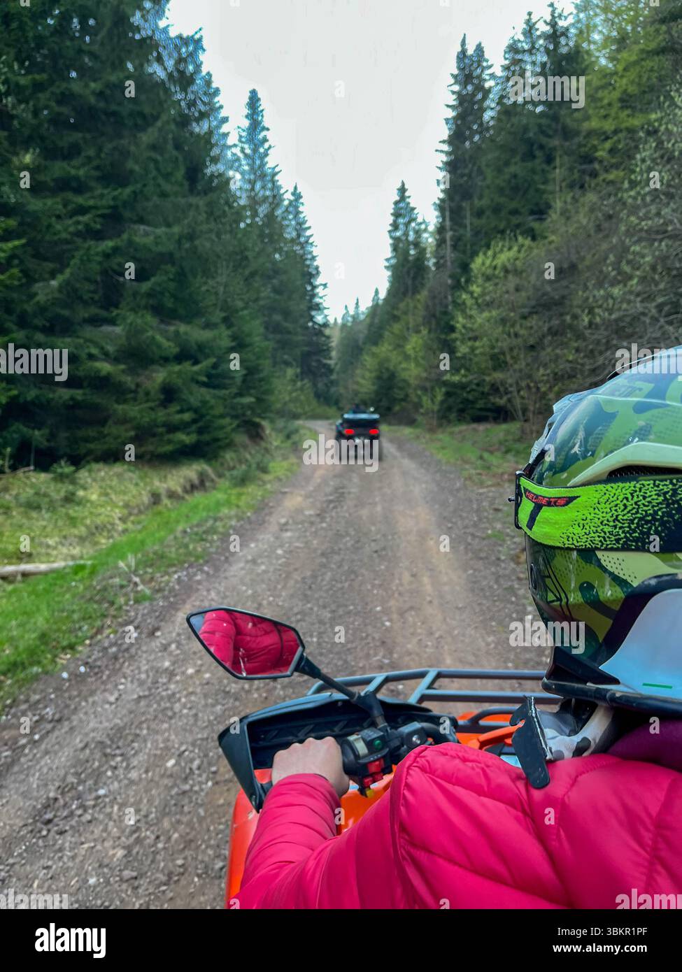 Person riding an ATV through a dirt road surrounded by dense pine forest, wearing a helmet and gear, capturing the thrill of off-road exploration in n - Smartphone Captured Stock Image