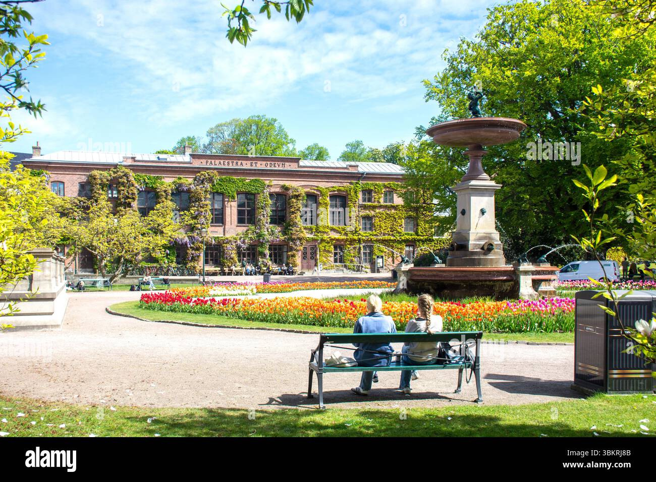 Tulips in central park culture hi-res stock photography and images - Alamy