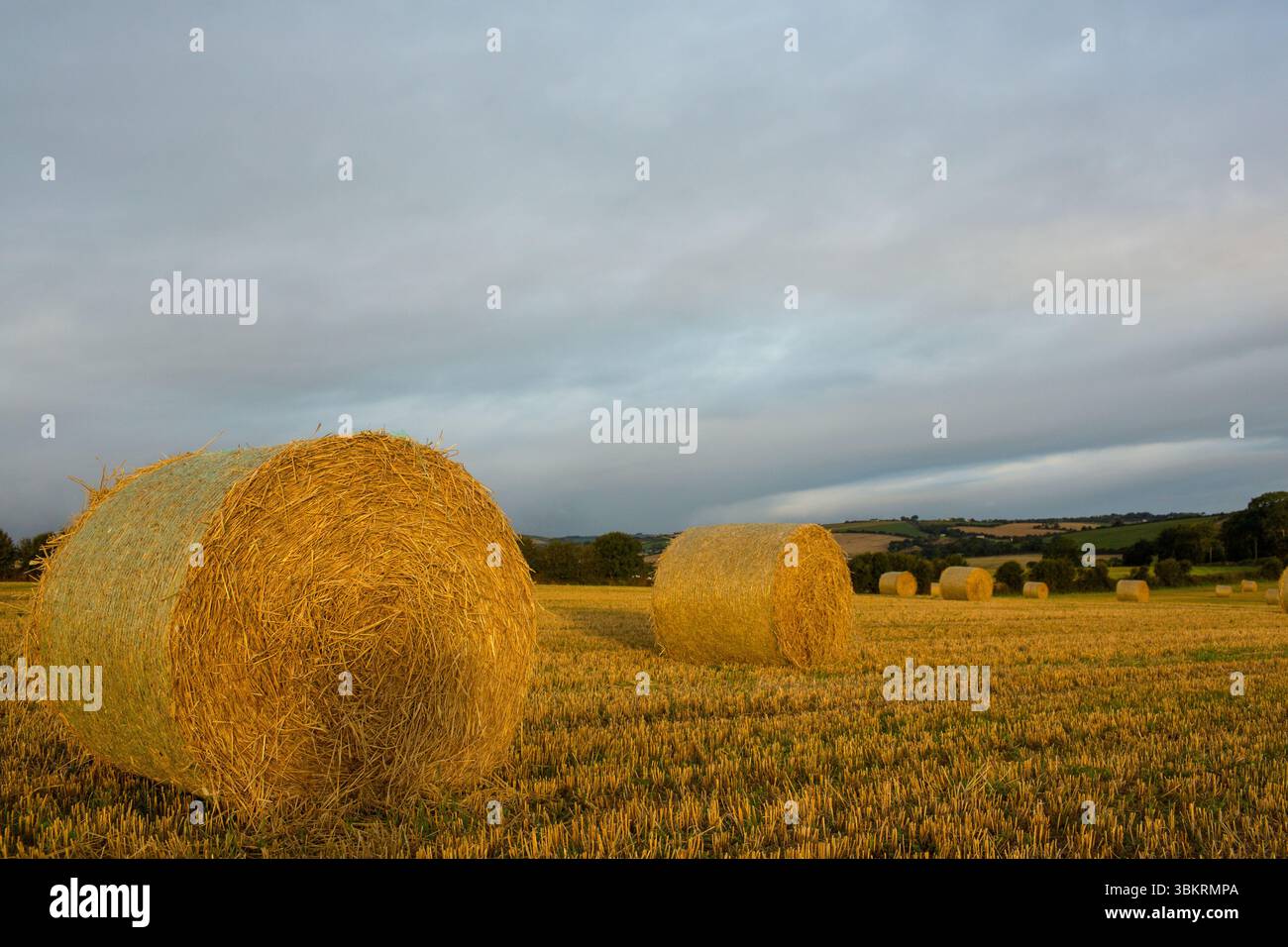 Field cultivated land hi-res stock photography and images - Alamy