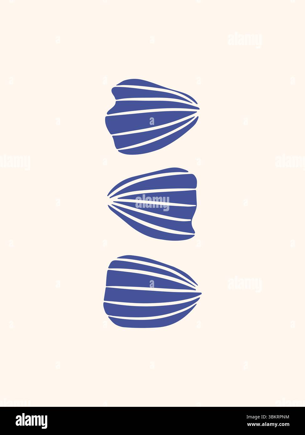 Hand drawn seashells poster Stock Vector Image & Art - Alamy