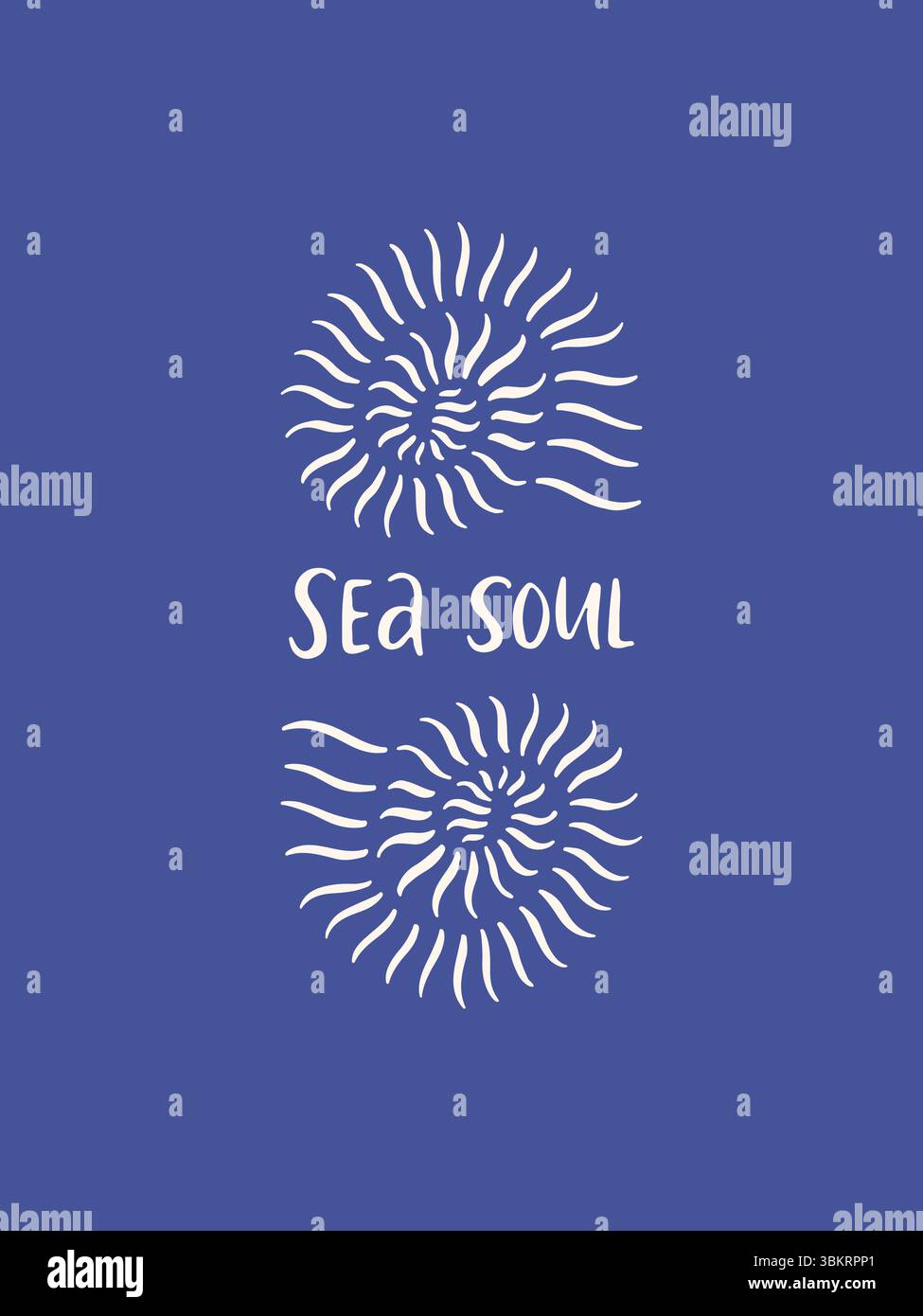Hand drawn coastal poster with seashells Stock Vector Image & Art - Alamy