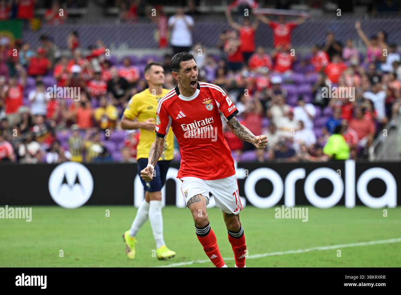 Flocage Di Maria #11 – Maillot Benfica Extérieur 2024-2025 – Neuf Sans Boîte