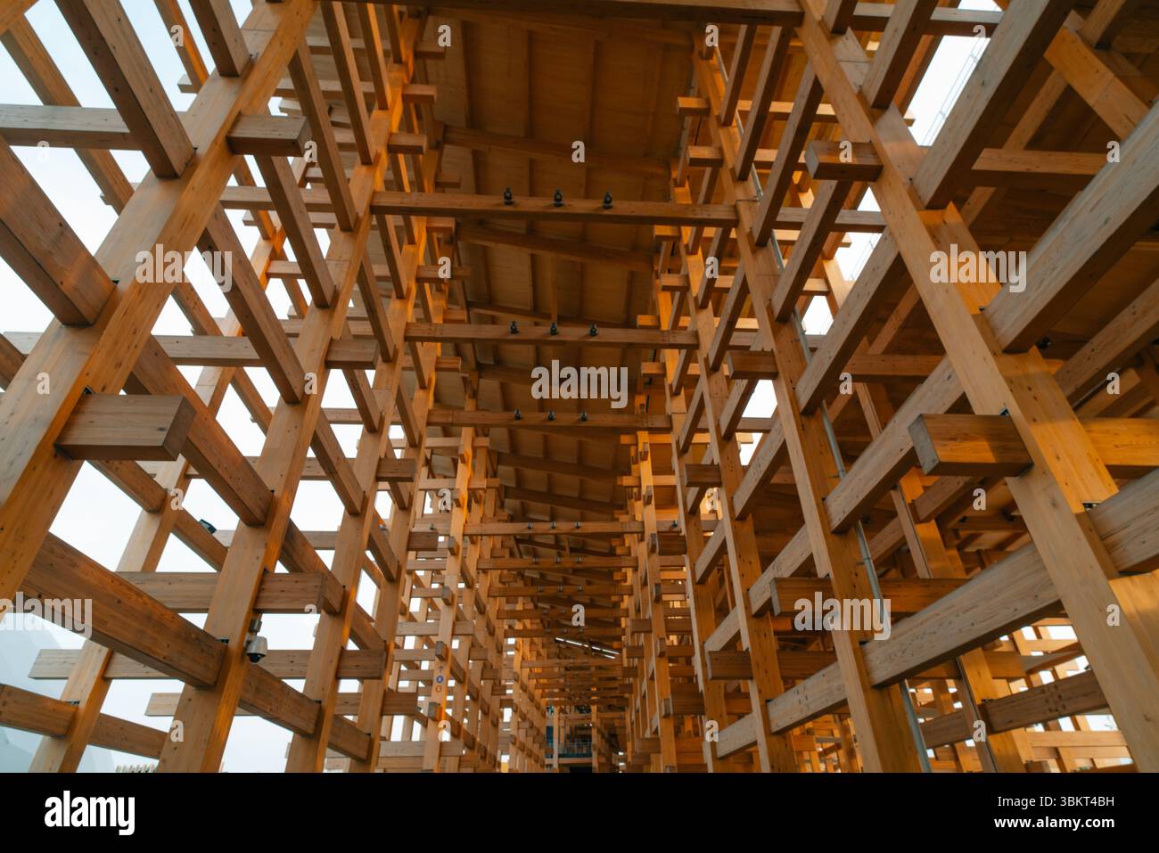 Wood and Wood Joints Building 木造架構 Wood and Wood Joints