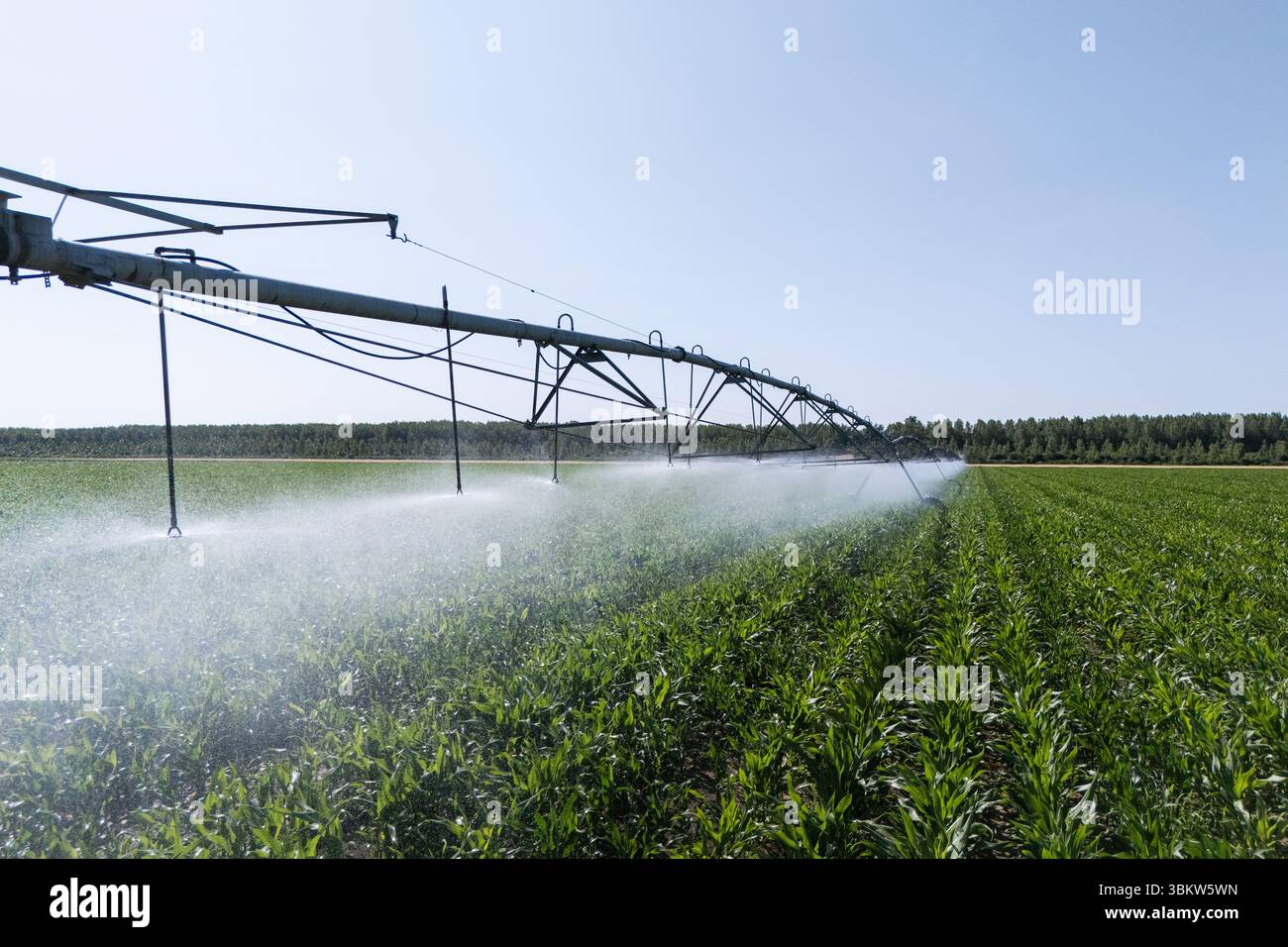 Agricultural pivot irrigation system on a corn field Stock Photo - Alamy