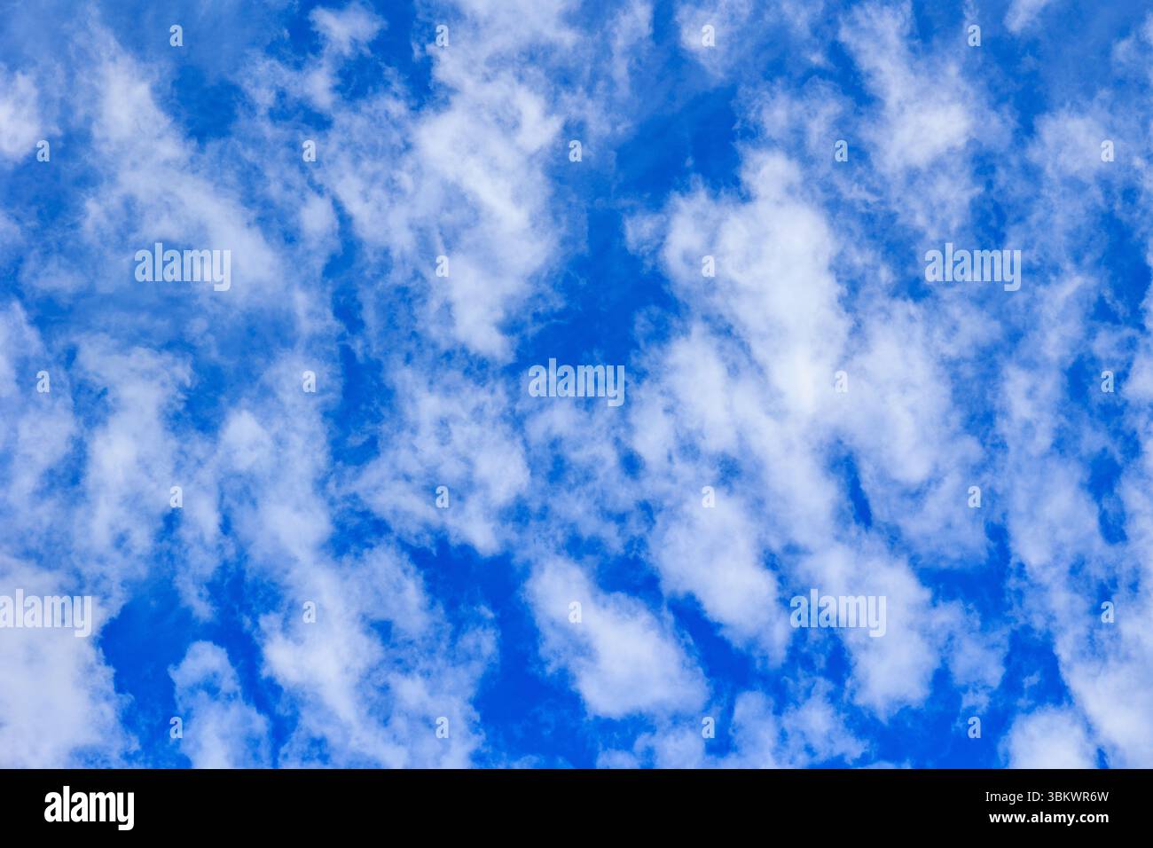 White clouds float across the bright blue sky. Stock Photo