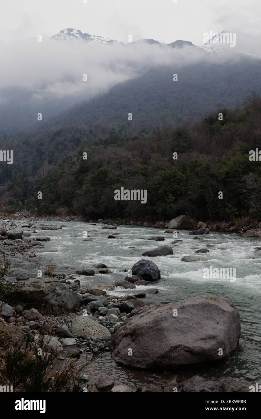 Forest Eith Rocks Rushing river through misty forest hi-res stock photography and images ...