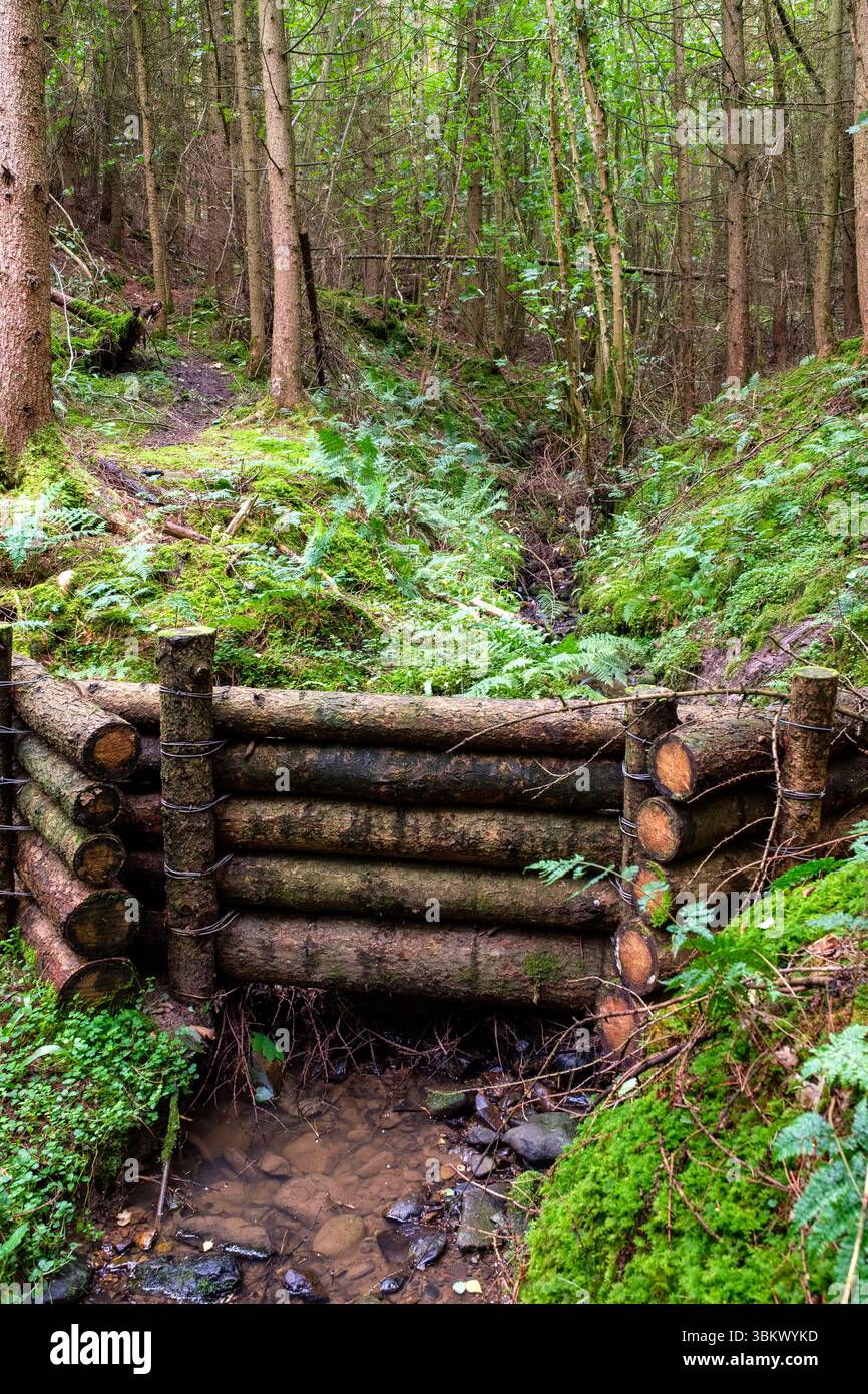 Log dam built in forest stream to slow water flow & prevent erosion ...