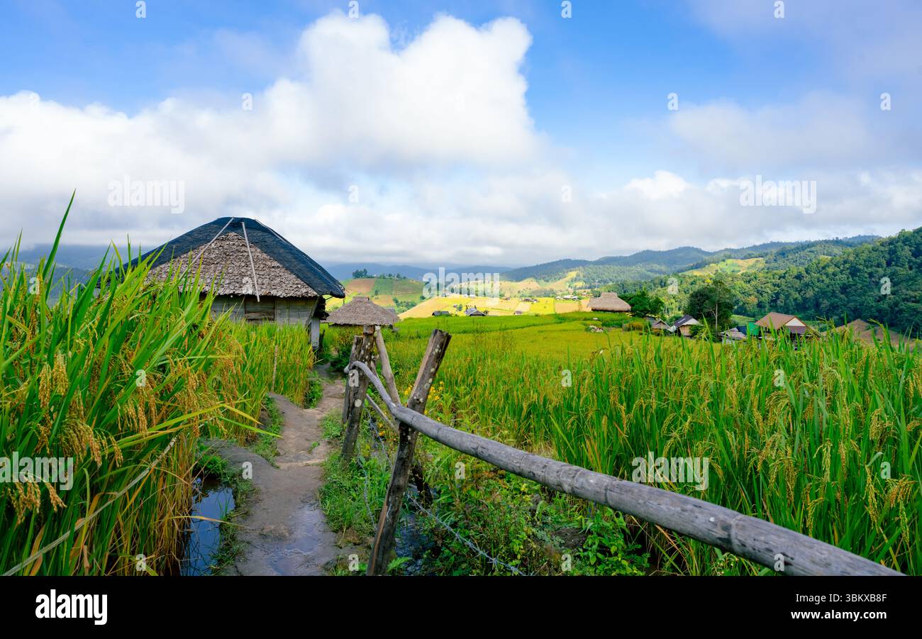 Green rice terraces surrounding cultural village houses in southeast ...