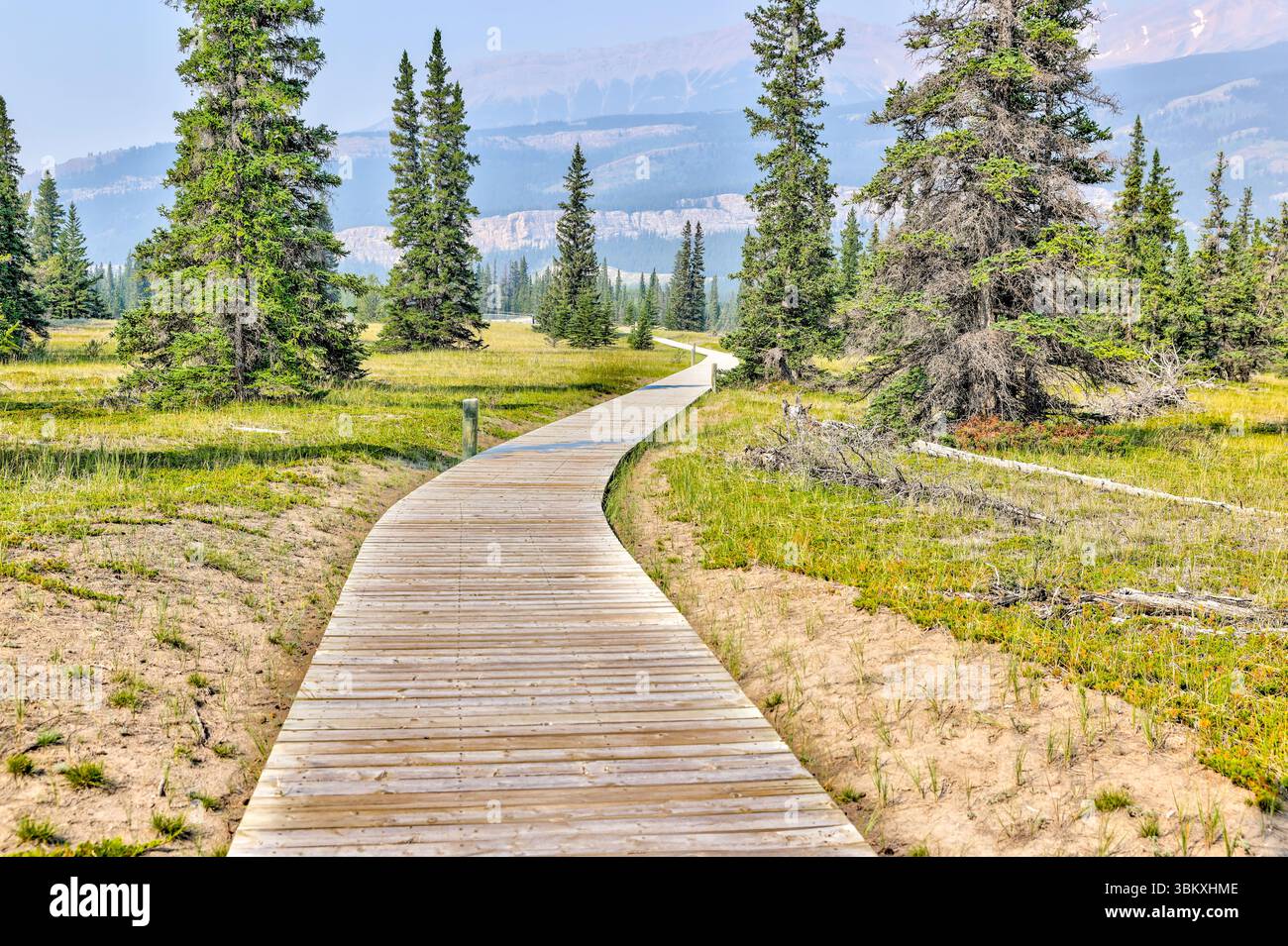 Kootenay plains ecological reserve hi-res stock photography and images ...