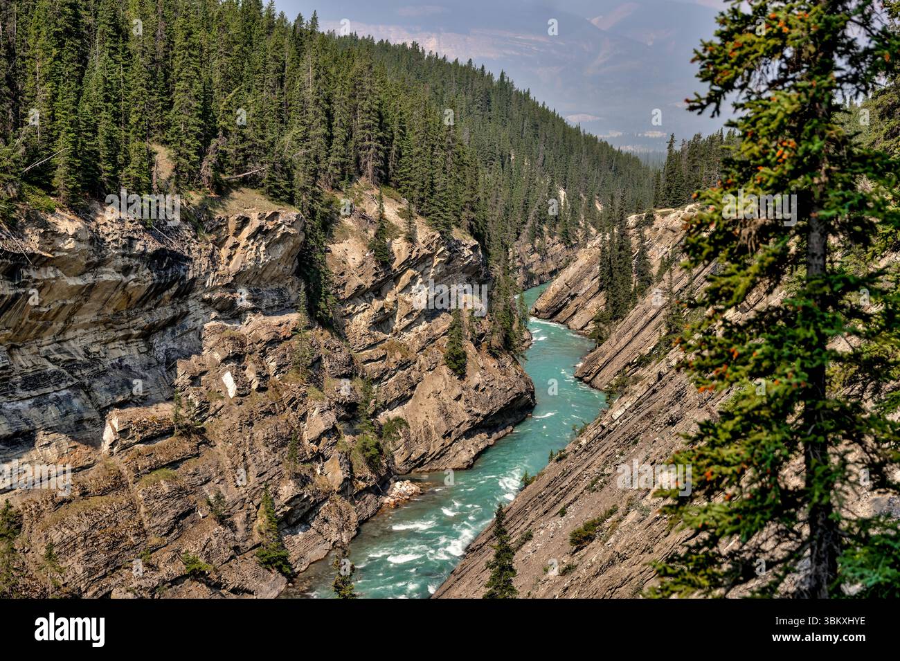 The hiking path and scenery leading to Siffleur Falls in the Kootenay ...