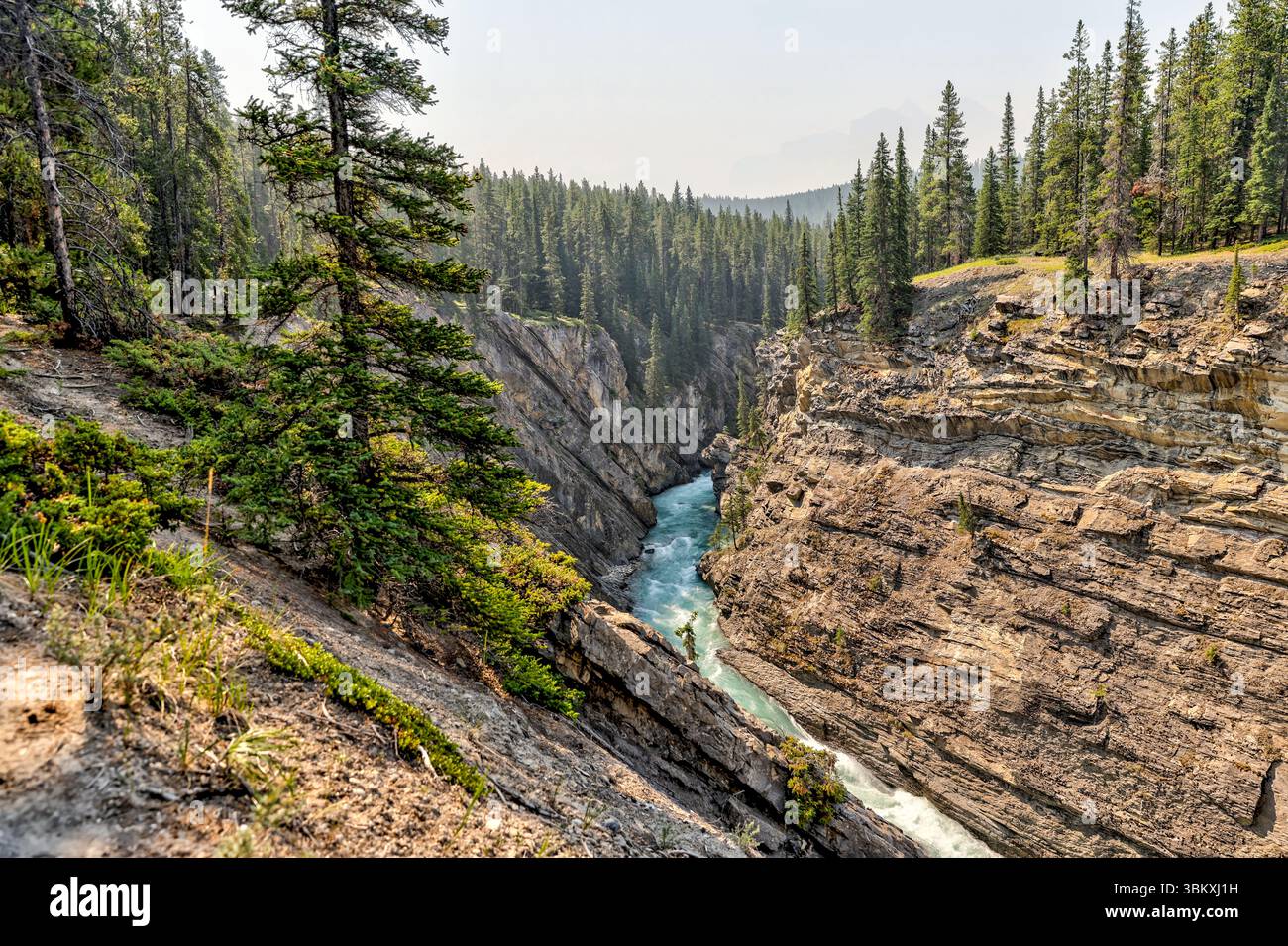 Kootenay plains ecological reserve hi-res stock photography and images ...
