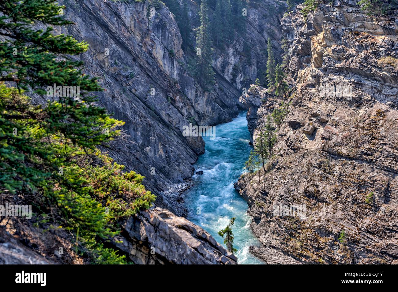 Kootenay plains ecological reserve hi-res stock photography and images ...