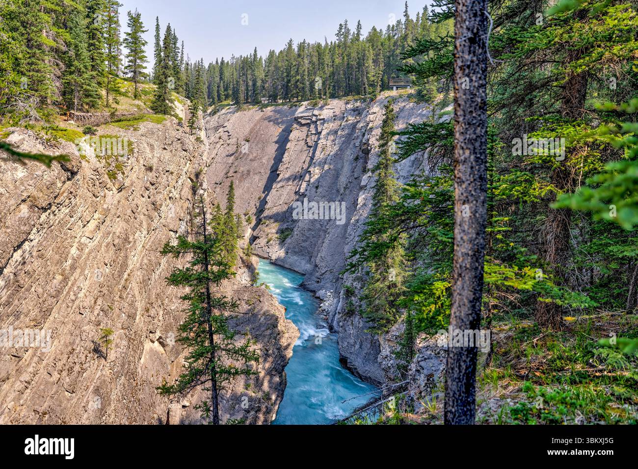 Kootenay plains ecological reserve hi-res stock photography and images ...