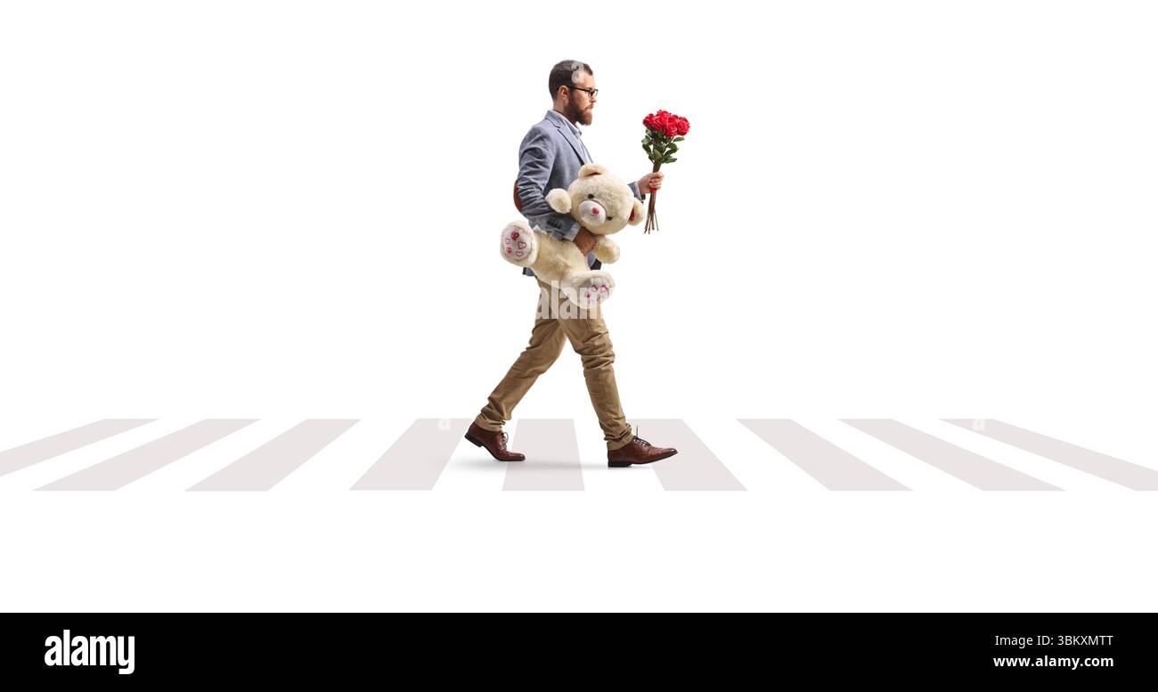 Man with a bunch of red roses and a teddy bear at a zebra crossing isolated on white background Stock Photo