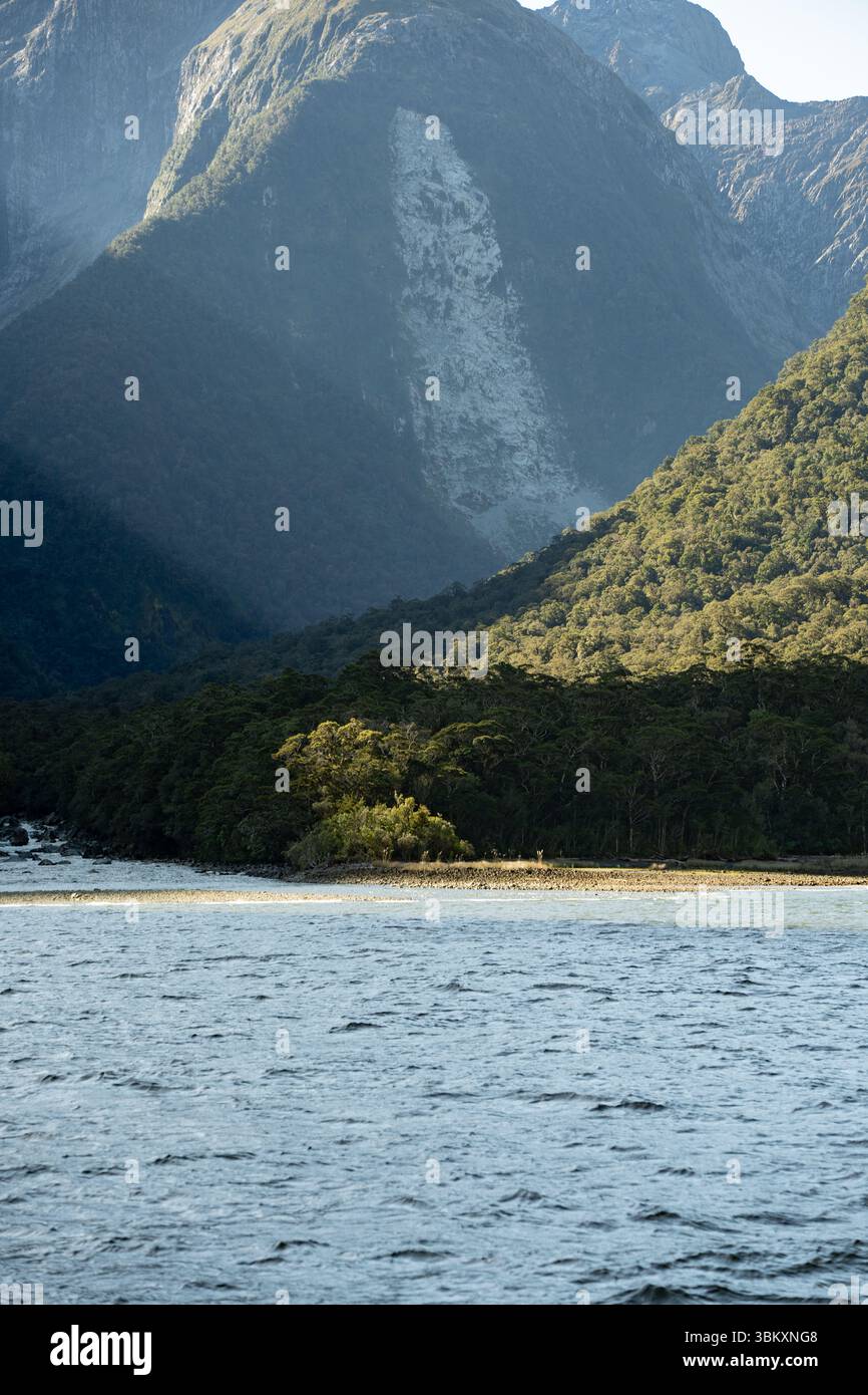 A forested shoreline catches golden light at the base of towering, shadow-draped mountains, where steep rocky faces rise above rippling water, creatin Stock Photo