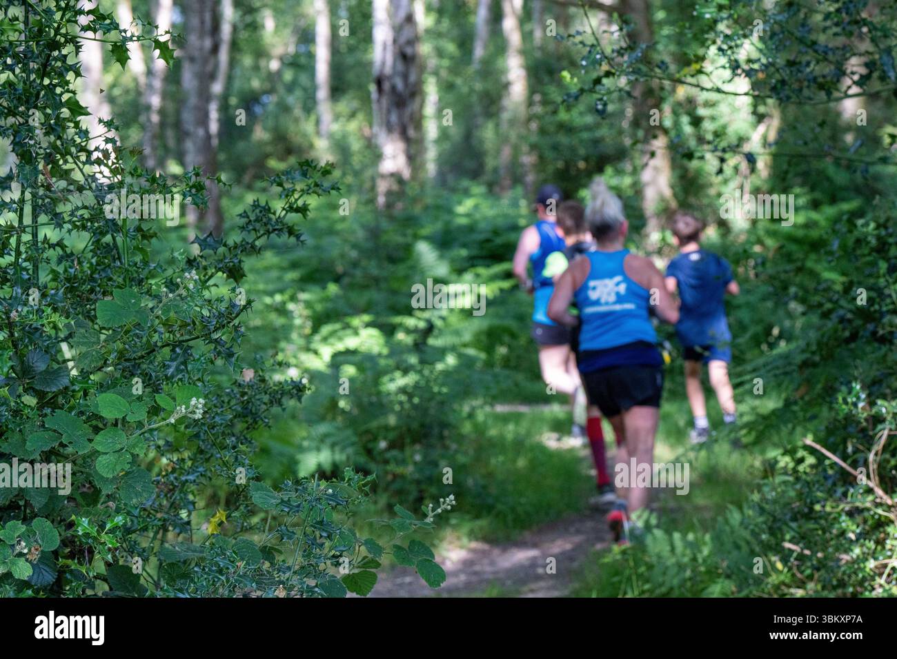 Adult participants enjoying walking in the woods at the 2025 berkhamsted Woodland Trail 2025 organised by charity DENS of Dacorum Stock Photo