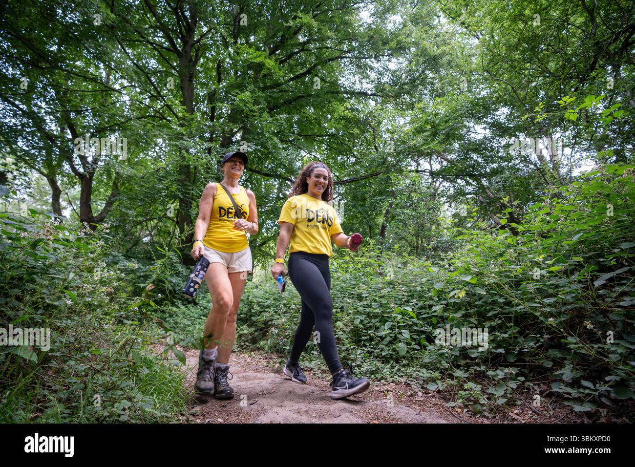 Adult participants enjoying walking in the woods at the 2025 berkhamsted Woodland Trail 2025 organised by charity DENS of Dacorum Stock Photo