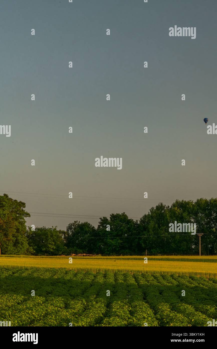 Hot summer dry sunset evening in Polabi area near Olesko village Stock Photo