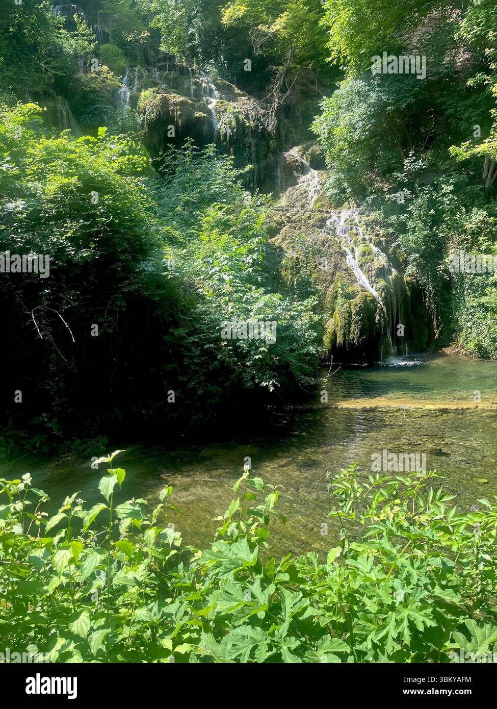 Tranquil karst pool surrounded by lush greenery at Krushuna Waterfalls, Bulgaria, hidden gem of nature and peaceful escape, Eastern Europe, Balkans - Smartphone Captured Stock Image