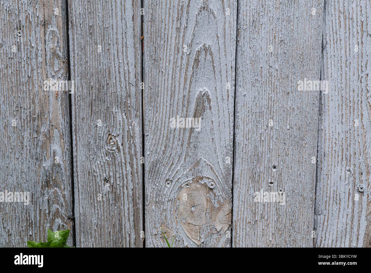 Weathered gray wooden fence with visible grain and knots Stock Photo ...