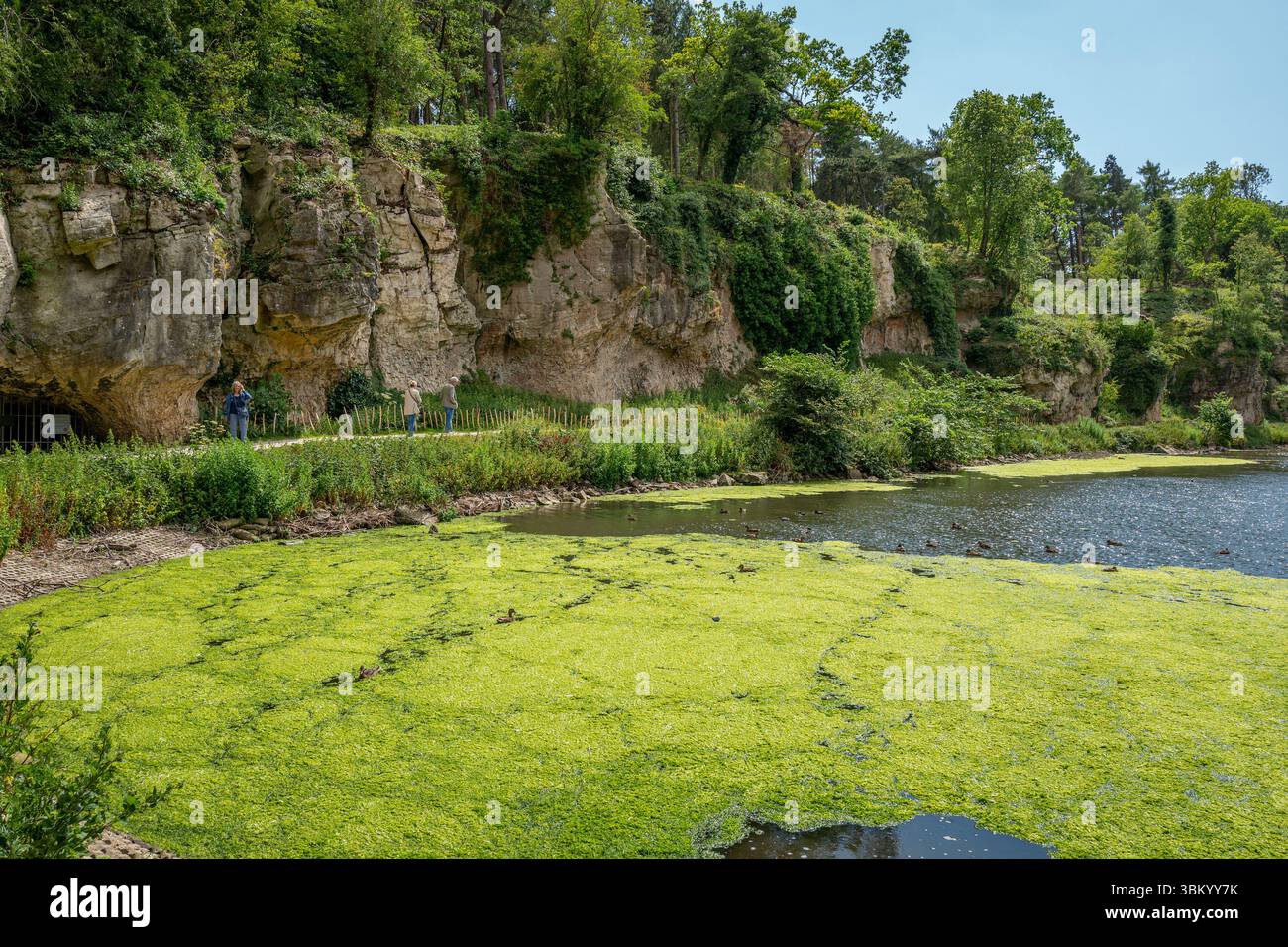 Limestone Ravines Creswell Crags is an limestone gorge and the cliffs in the ravine ...