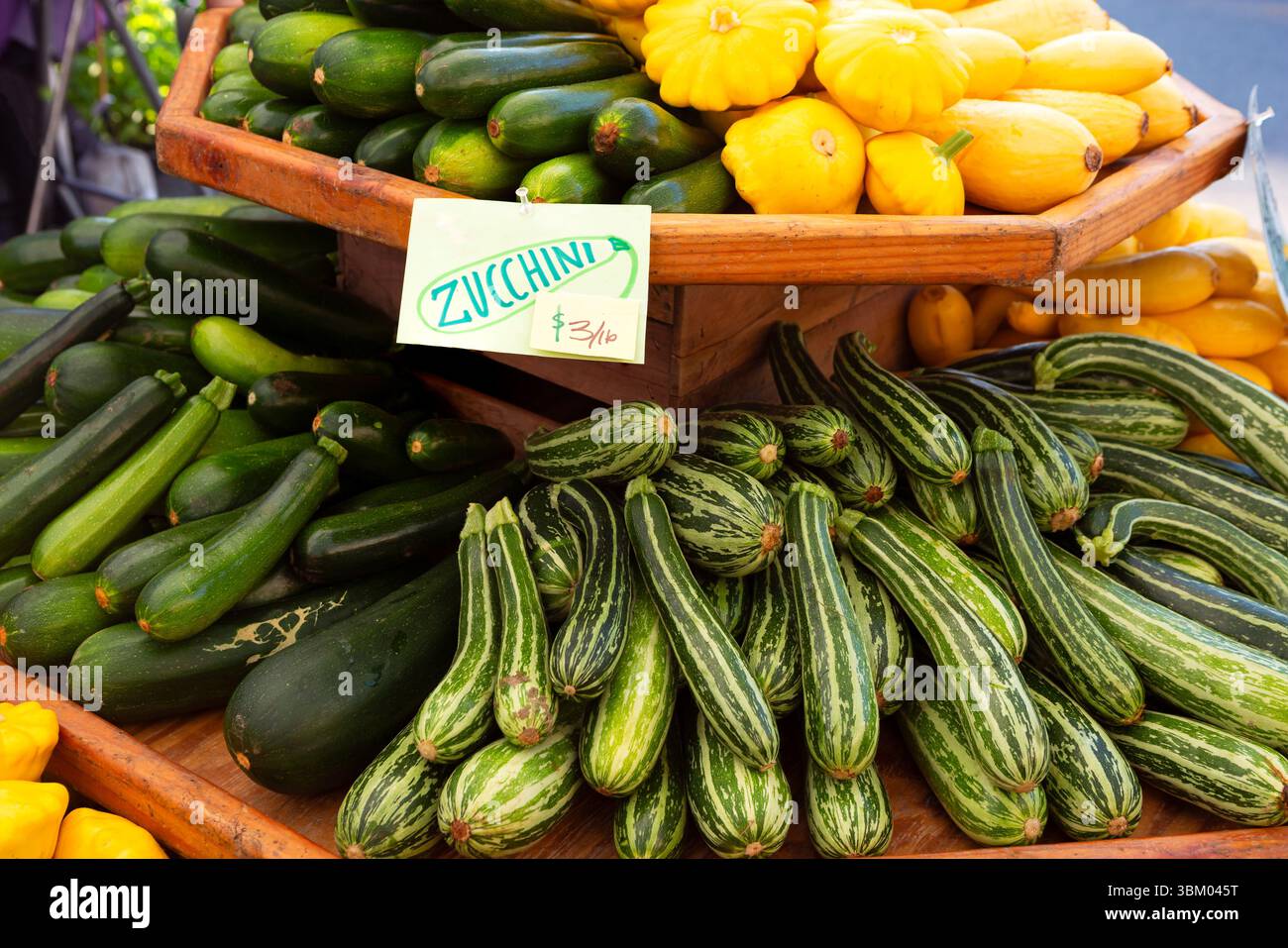 Fresh picked Zucchini squash, and yellow squash at a local outdoor market Stock Photo