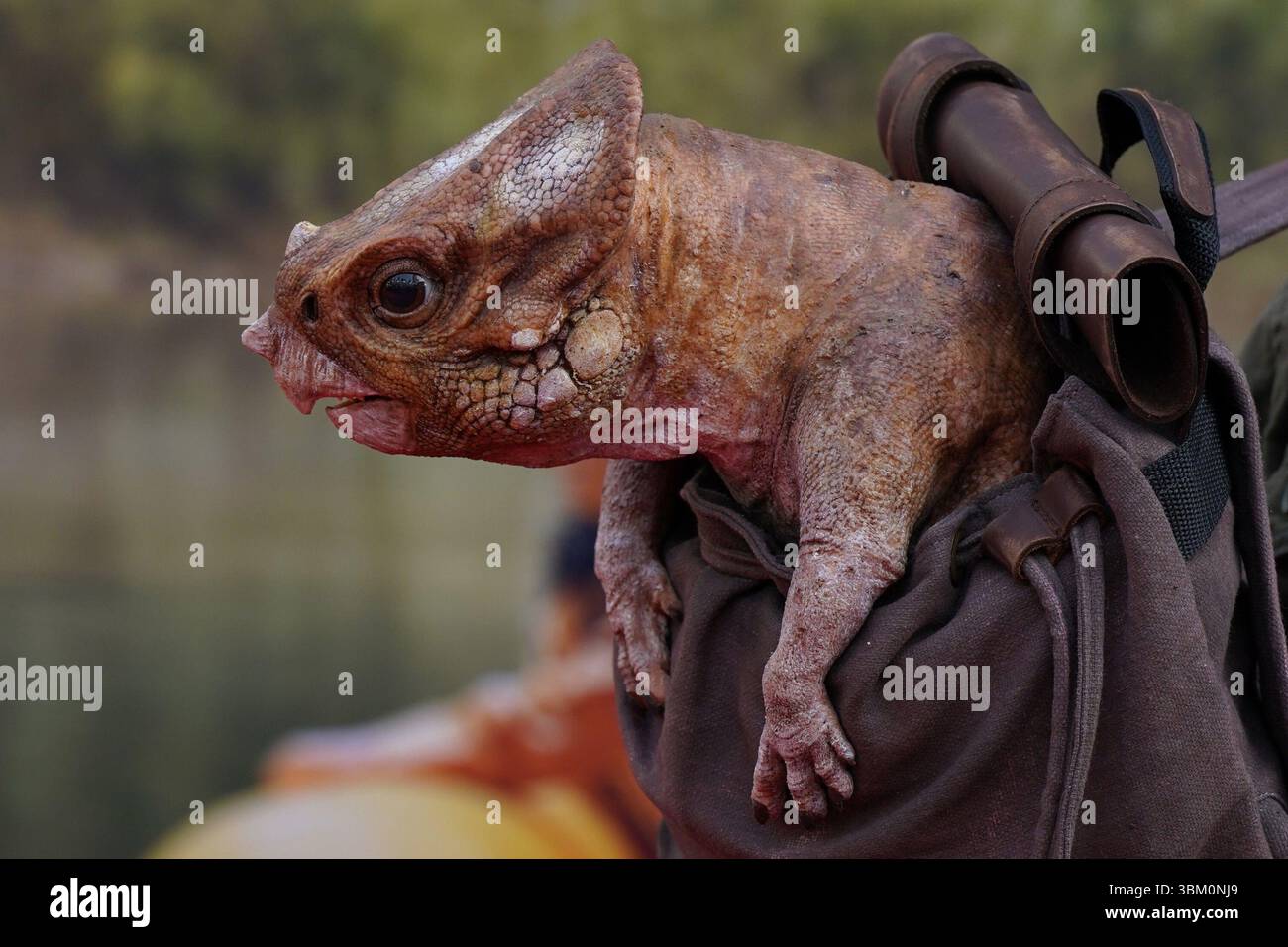 Ny. 23rd June, 2025. Dinosaur character Dolores the Aquilops at ...