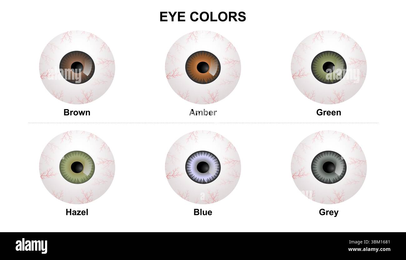 Human eye colors Stock Photo - Alamy