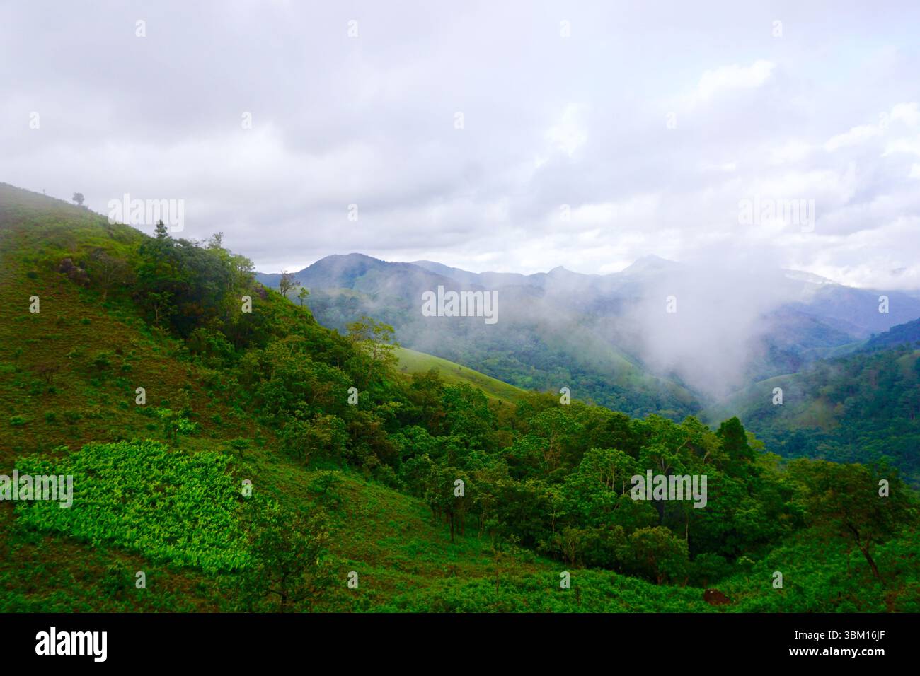 Ta Nang - Phan Dung grassland is vast and pristine in Vietnam Stock Photo -  Alamy