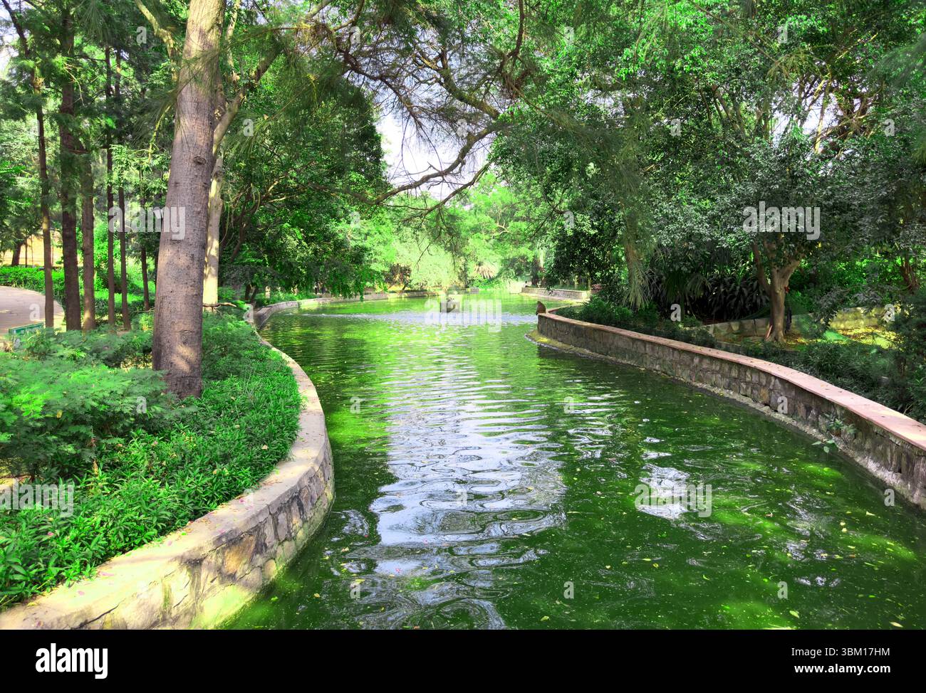 Natural Stream Canals Water in curved canal reflecting green trees and stone path in sunny ...
