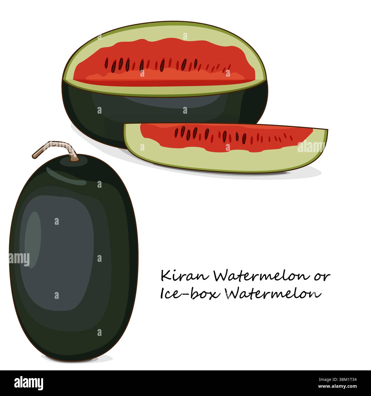 Whole and chopped Kiran Watermelons. Ice-box Watermelon. Citrullus ...