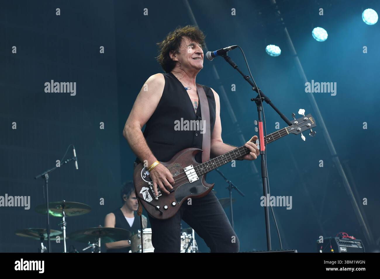 The chameleons band hi-res stock photography and images - Alamy