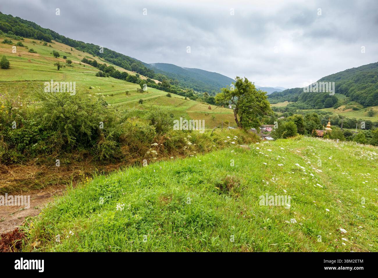 rural landscape with field on a hill in summer. stormy weather and overcast sky. green countryside with meadow on mountain. dark scene near village wi Stock Photo