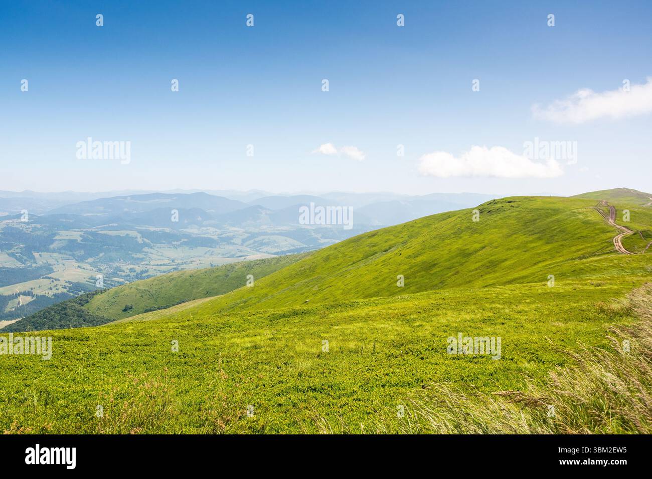 carpathian mountain landscape of ukraine in summer. transcarpathia weekend . wonderful nature scenery of alpine grassy meadow and green hills on a sun Stock Photo