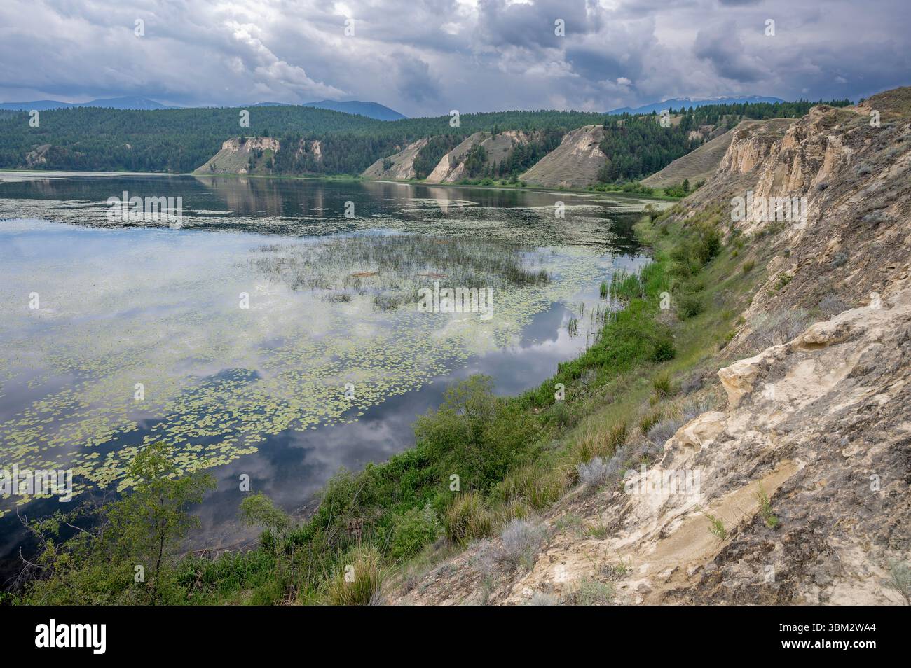Wetlands on the Columbia River in the Columbia National Wildlife Area near Wilmer, British Columbia, Canada Stock Photo