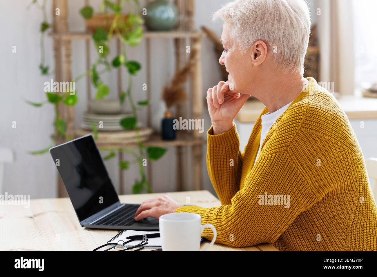 Side view of elderly lady using laptop with blank screen Stock Photo