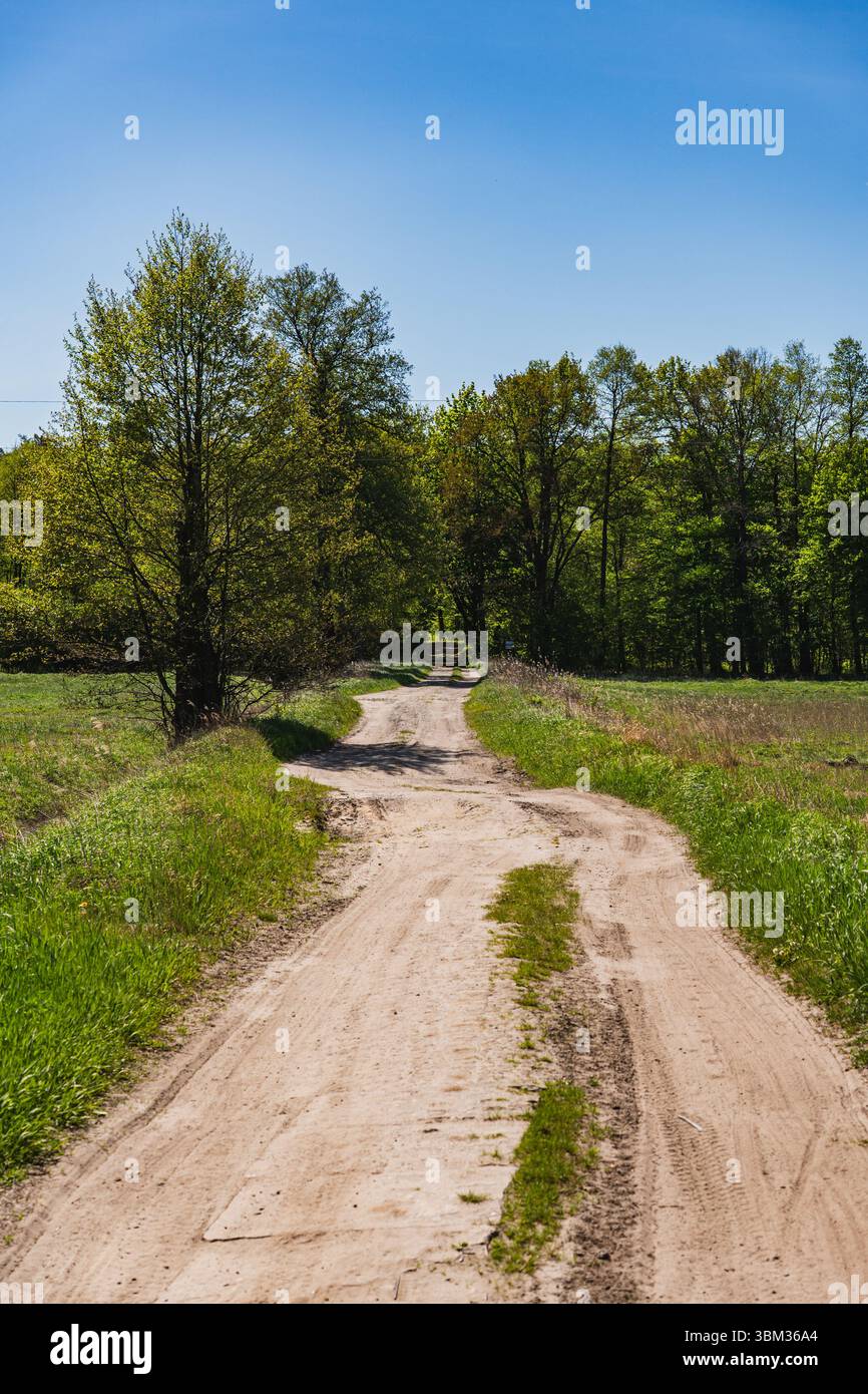 Trees running hi-res stock photography and images - Alamy