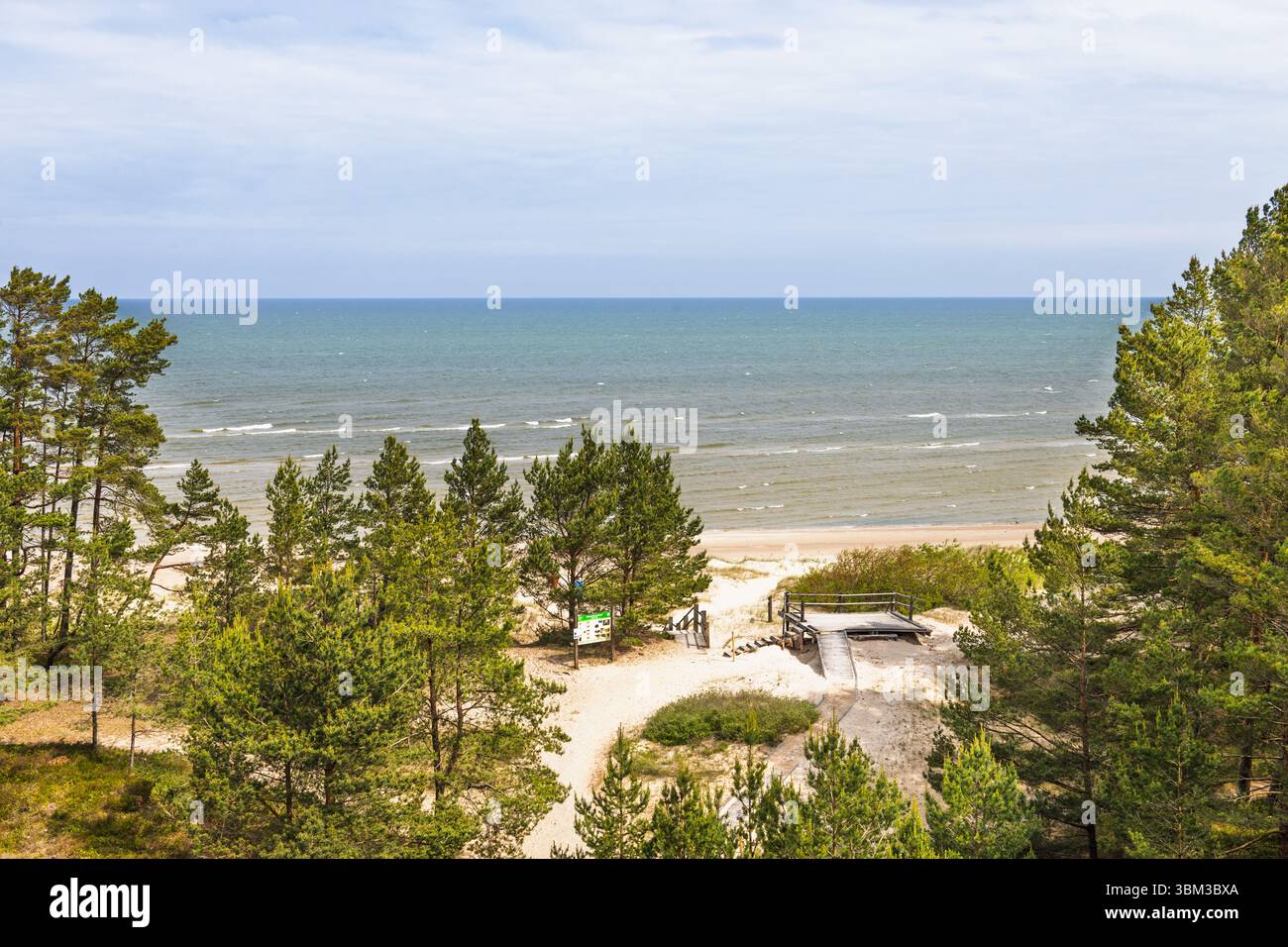 Aerial view of Cape Kolka beach path through pine trees to Baltic Sea ...